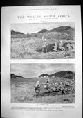 Old Print War South Africa Canadas Contingent Thorneycrofts Infantry 1900 20th