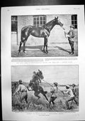 Antique Print Queens Visit West End Duke Westminsters Flying Fox Horse 1900