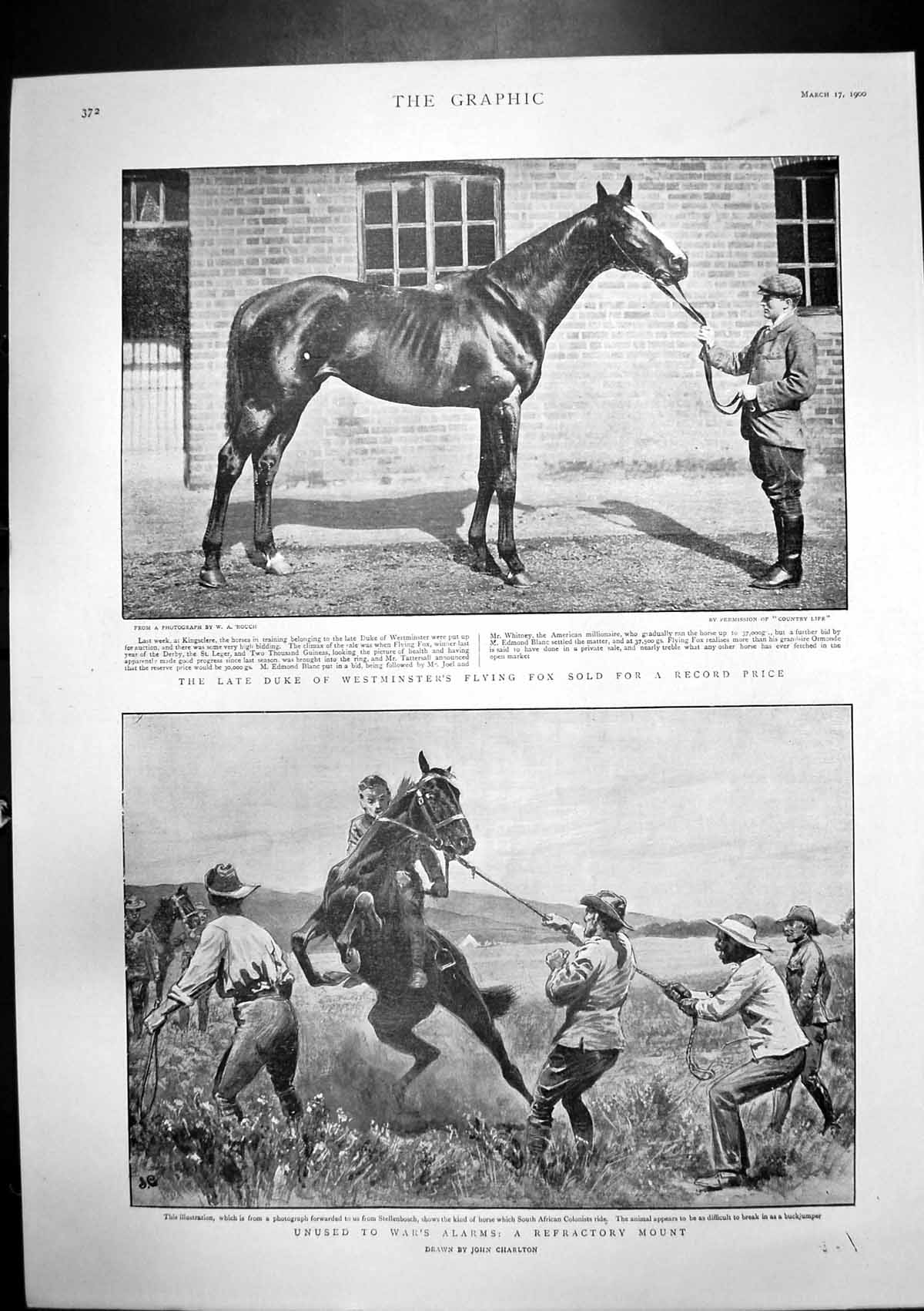 Antique Print Queens Visit West End Duke Westminsters Flying Fox Horse 1900