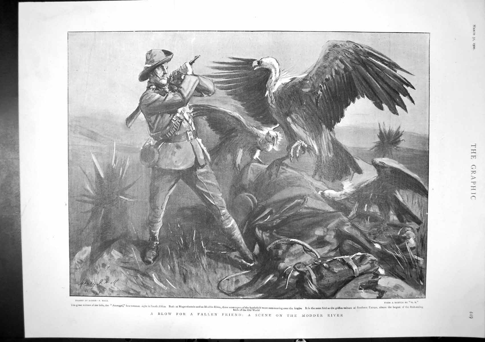 Antique Print Aasvogel Attack Modder River Capt P Grant Major Sellheim 1900