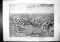 Old Siege Mafeking Boer Trenches Irish Regiments Colonel Brooke 1900 Victorian