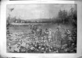 Antique Old Print Partridge Shooting Good Day Over Turnips Lance Calkin 1902