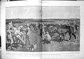 Old Print Victims War Wounded Horses Sent Back Front Being Examined 1900 20th