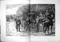 Old Their Duty Done Examination Cavalry Artillery Horses Fit Service
