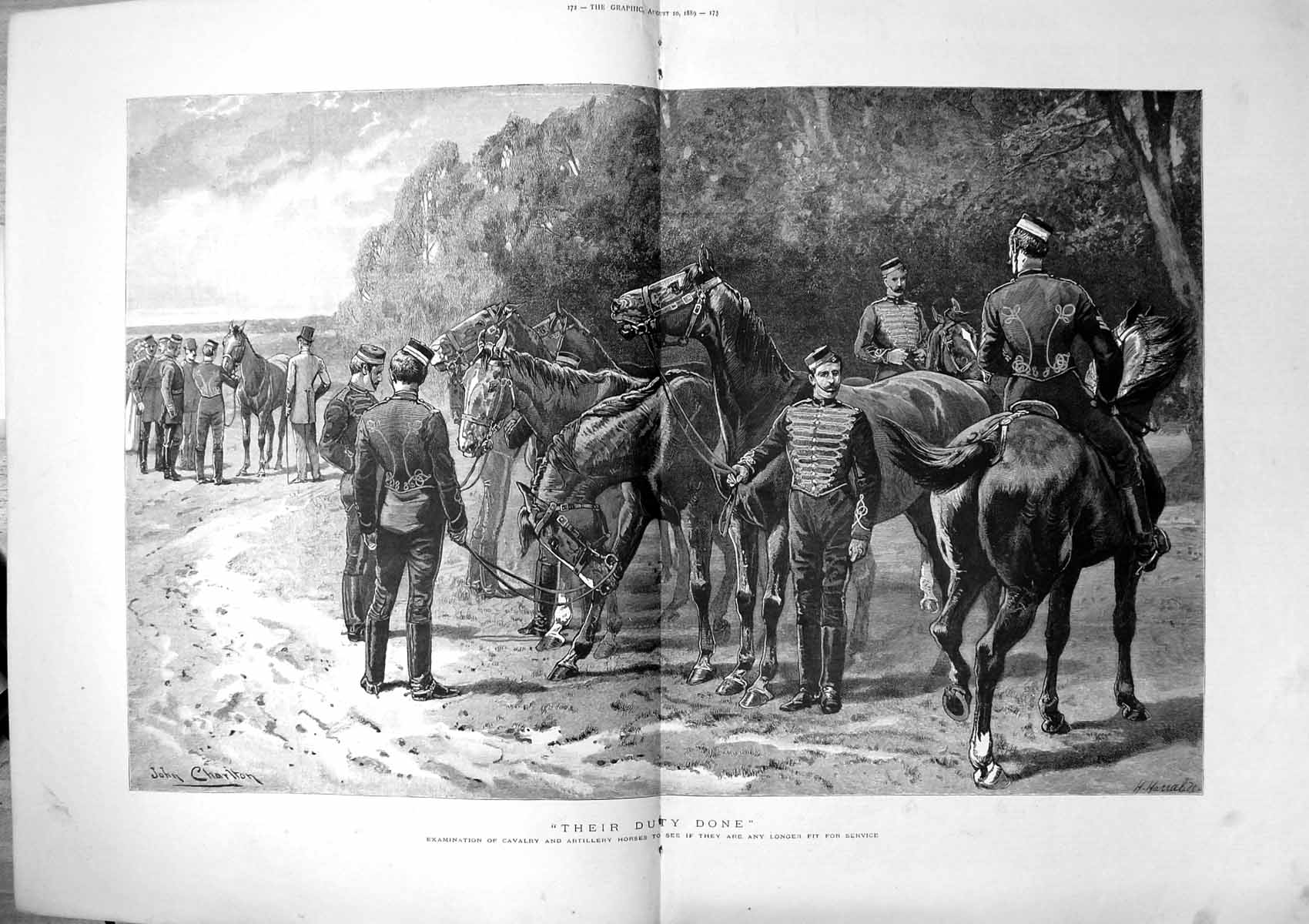 Old Their Duty Done Examination Cavalry Artillery Horses Fit Service
