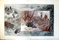 Original Old Antique Print Black Game Shooting Highlands John Charlton C1880