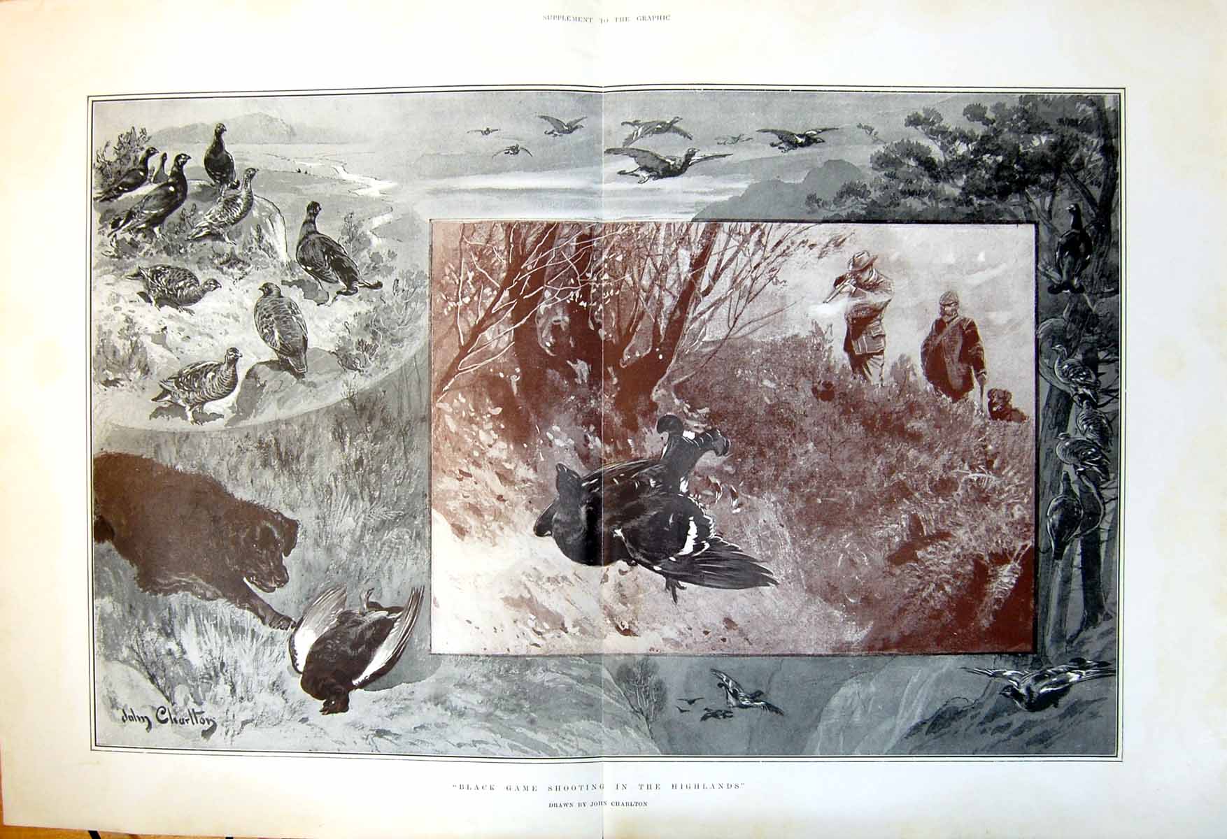 Original Old Antique Print Black Game Shooting Highlands John Charlton C1880