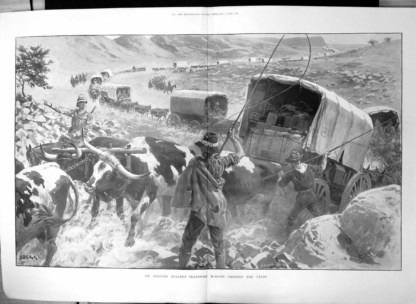 Antique Print Transvaal War Sir Redvers Bullers Transport Wagons Veldt 1900