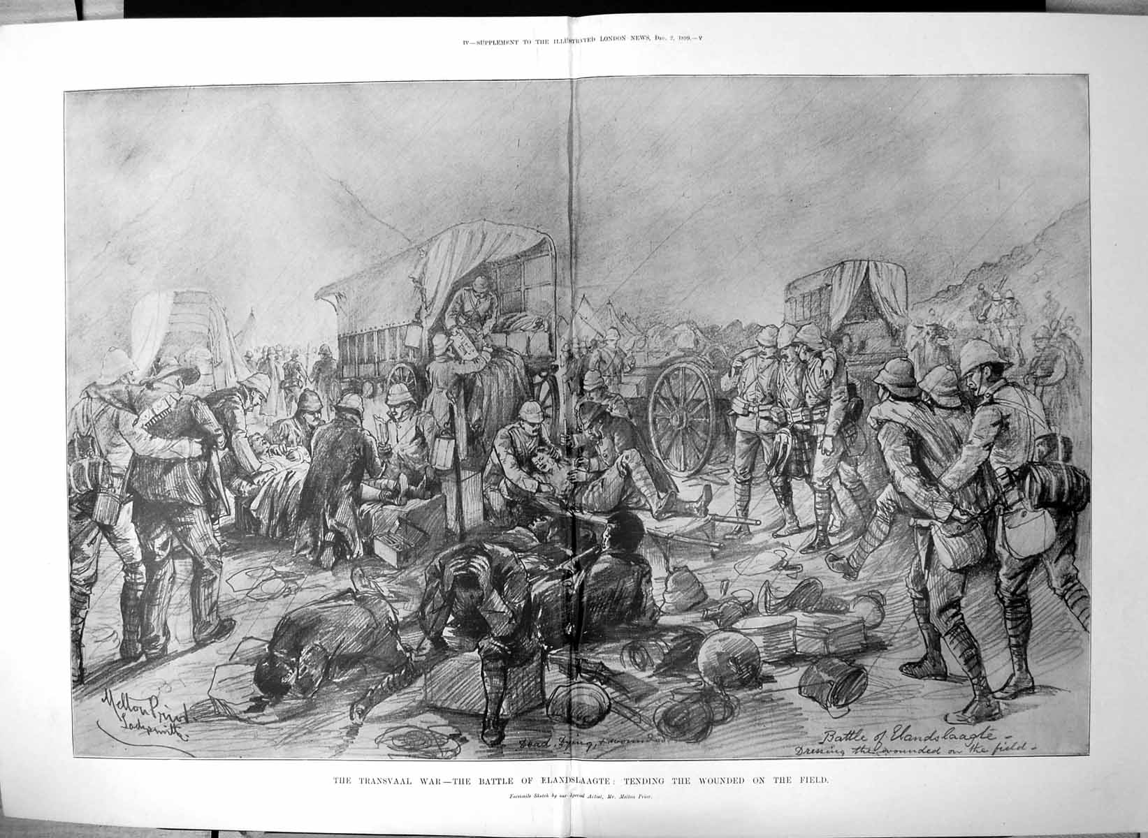 Old Antique Print Transvaal War Tending Wounded Battle Elandslaagte 1899 19th