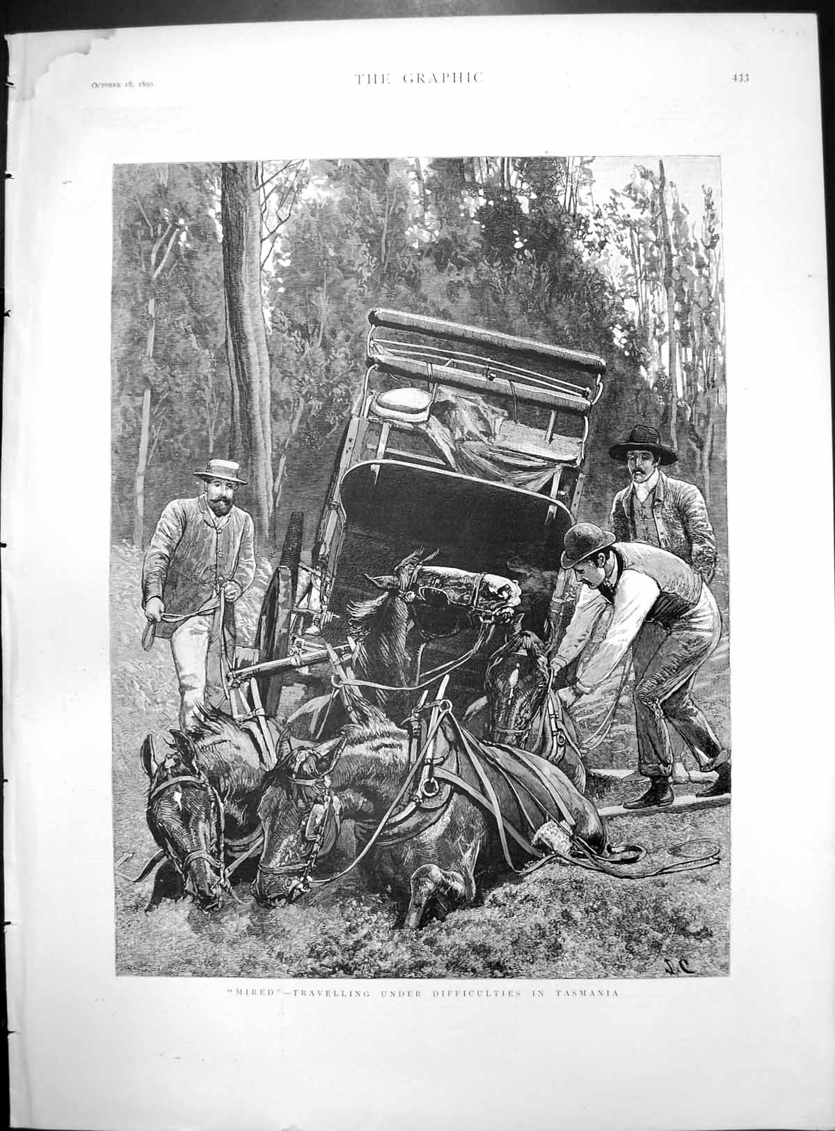 Old Mired Travelling Under Difficulties Tasmania Horses Carriage 1890 Victorian