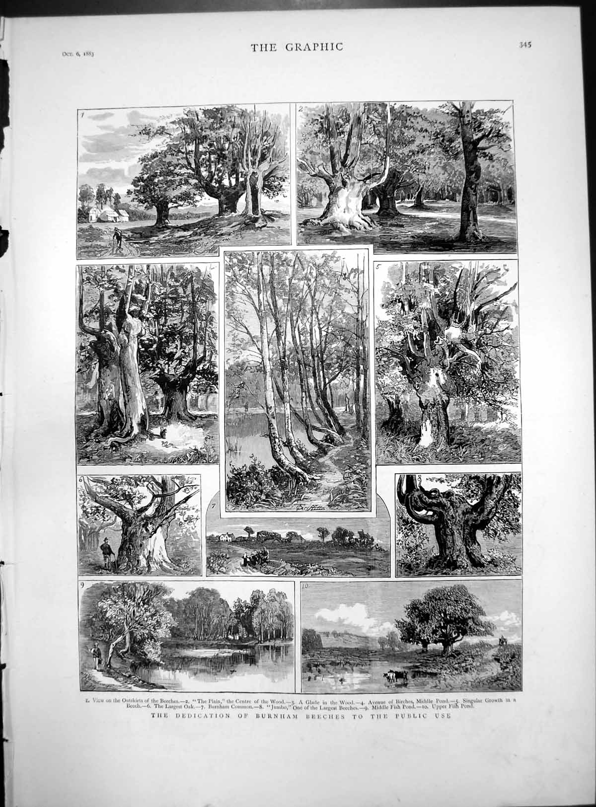Old Dedication Burnham Beeches Public Use Common Fish Pond Walks 1883 Victorian