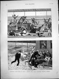 Print Tropics Siesta Difficult British India Steam Navigation Co Steamer 1880