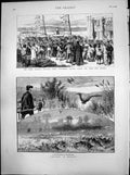 Old Print Greek Frontier Question Galatz Falconry England Heron Game 1880 19th