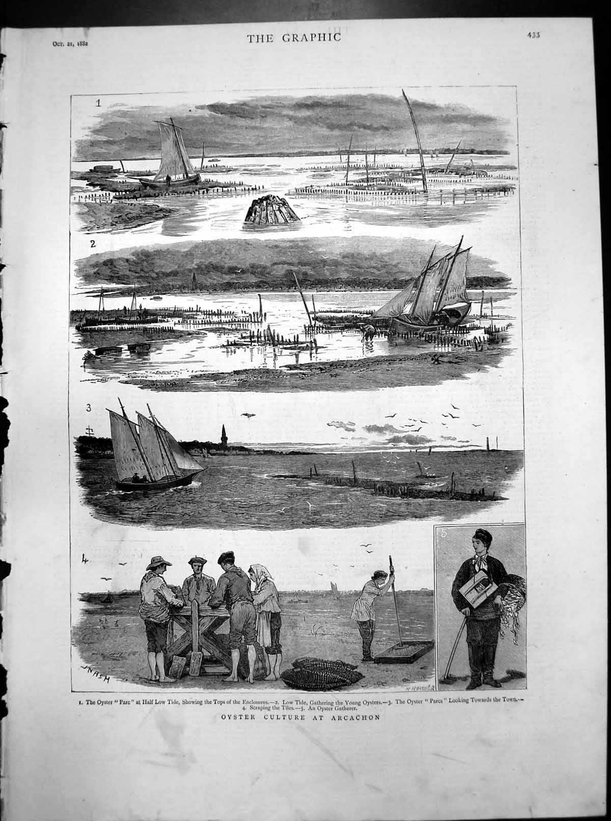 Old Print Oyster Culture Arcachon Parc Enclosures Gathering Scraping Tiles 1882