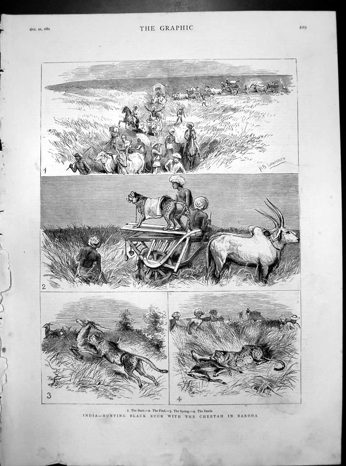 Old India Hunting Black Buck With Cheetah Baroda Oxen Cart Turbans 1882 19th