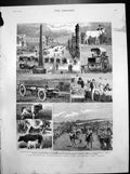 Old Print South African Agricultural Show Port Elizabeth Cape Colony 1882 19th