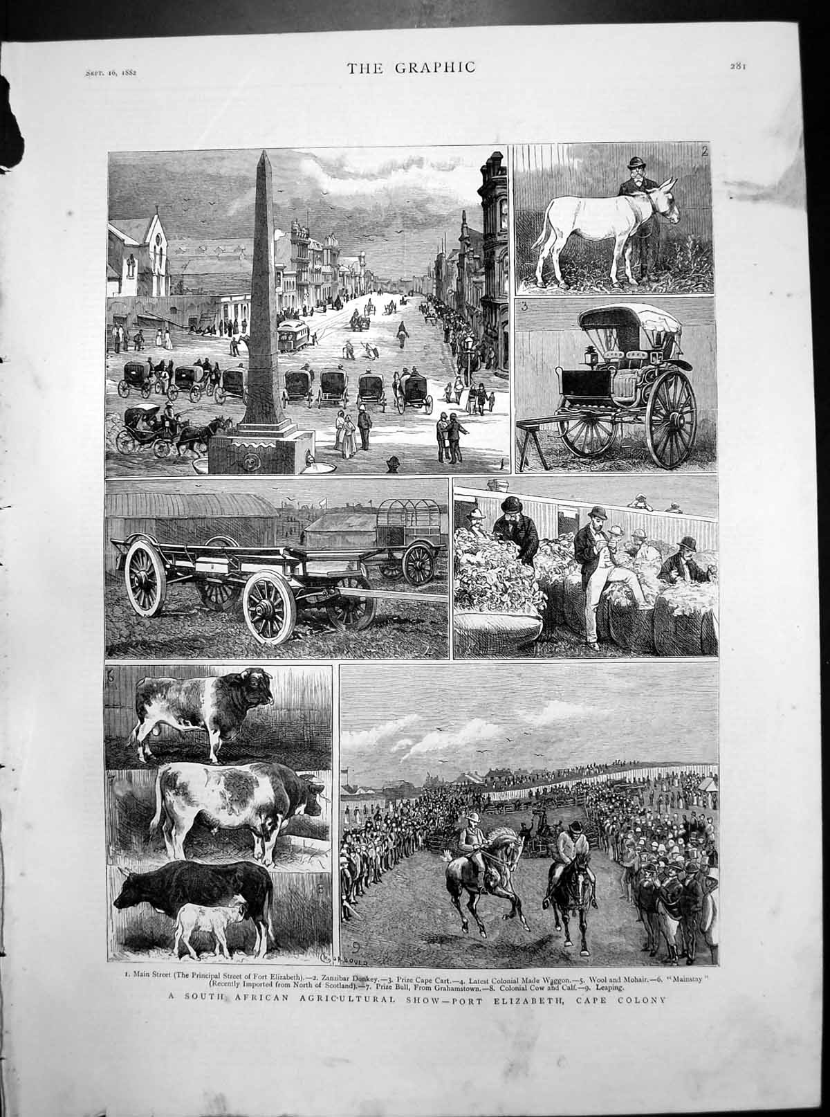Old Print South African Agricultural Show Port Elizabeth Cape Colony 1882 19th