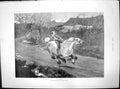 Old Bolted From Drawing W Frank Calderon Horse Bareback Children 1890 Victorian