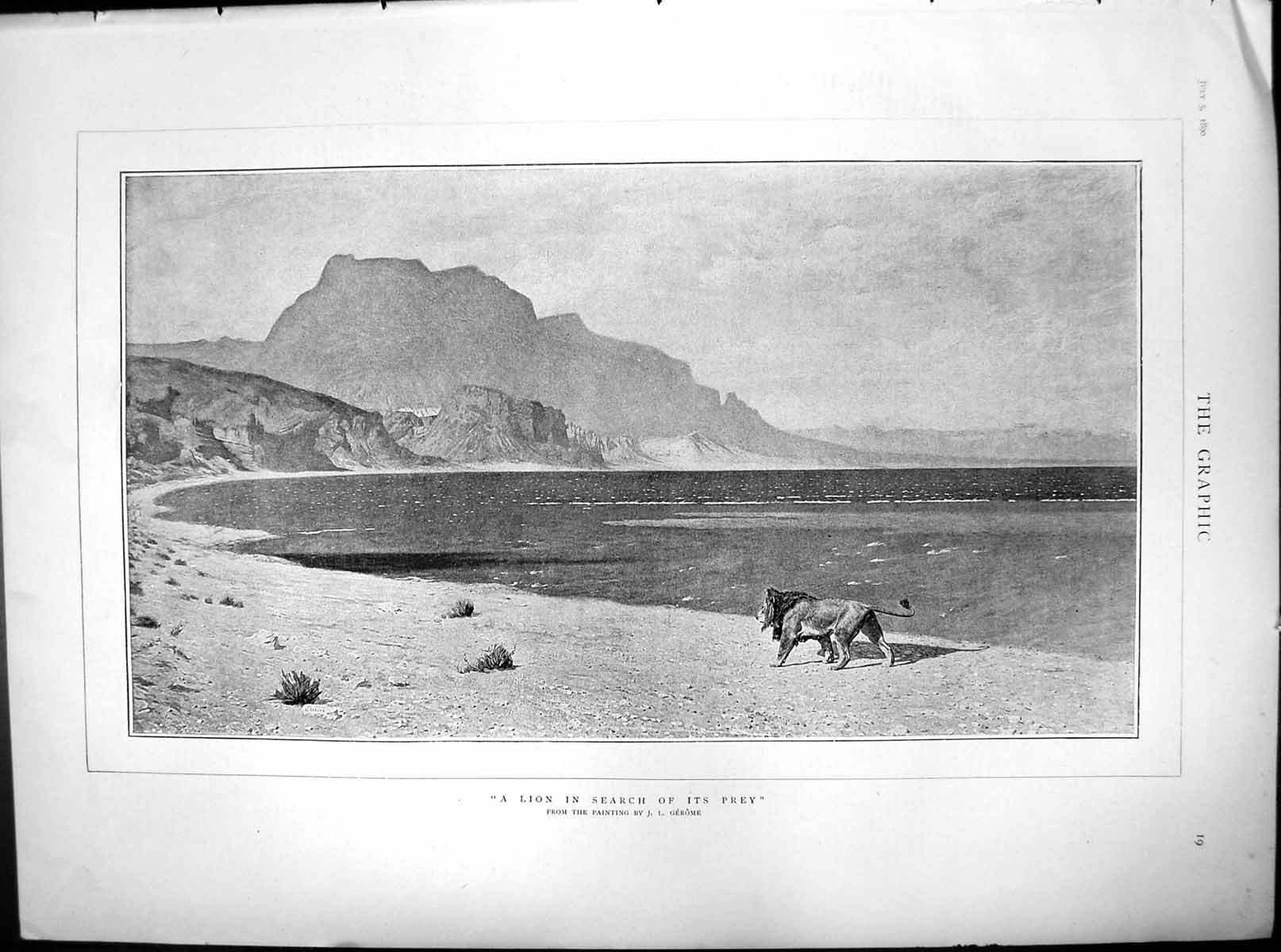 Old A Lion In Search Its Prey From Painting JL Gerome Lake Side 1890 Victorian