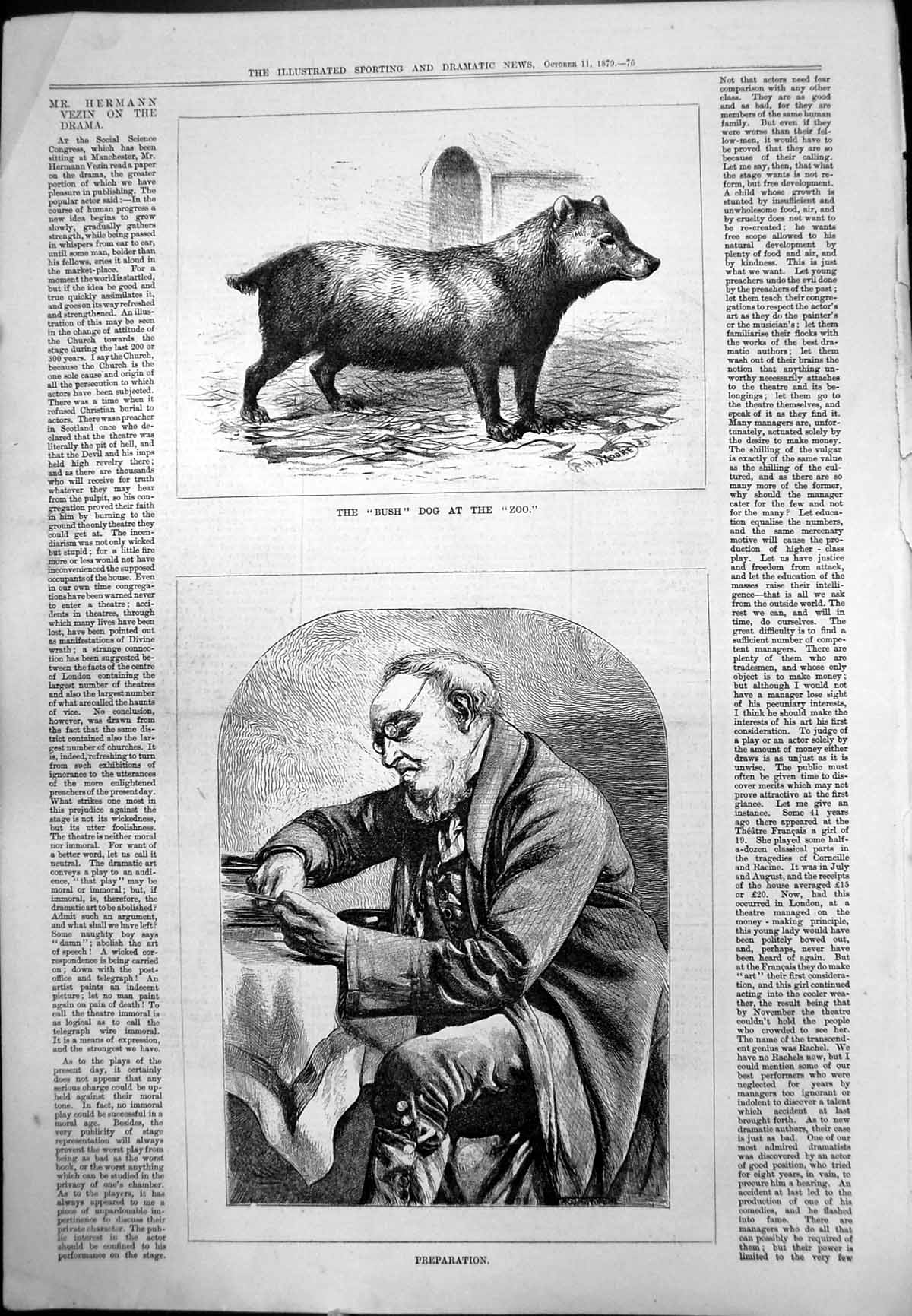 Old Print Bush Dog Zoo Preparation Gentleman Buttoned Breeches Table 1879 19th