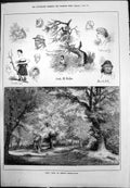 Old From Artist'S Sketchbook Couple Woodland Character Portraits 1880 Victorian