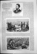 Old Marquis Hartington Bear Village Shekarries Nizam Sloth Bears 1875 Victorian