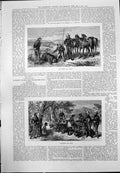 Print Bear Hunting Death Collecting Game Nizam Territory Natives English 1875