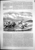 Old King Alfonso Xii Hare Hunting San Miguei Horses Dogs Galloping 1875 19th