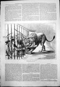 Antique Print Mans Arm Through Lion Cage Mauling Keepers Sticks Claws 1876 19th