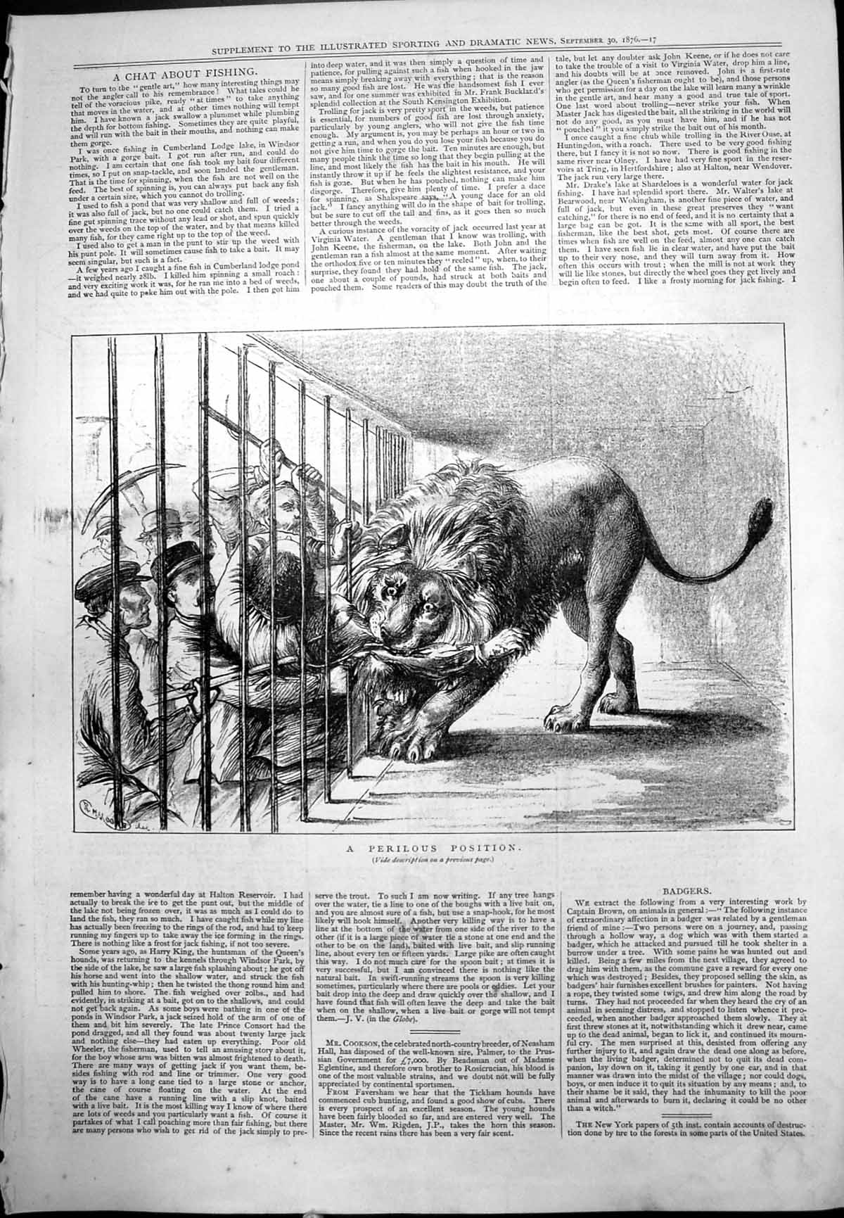 Antique Print Mans Arm Through Lion Cage Mauling Keepers Sticks Claws 1876 19th