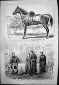 Old Colonel Kent'S Arab Charger Scene Man Possession Gaiety Theatre 1876 19th