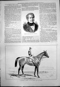 Old Mr Frail Clerk Course Il Barbiere Winner Queen'S Cup Seville 1877 Victorian