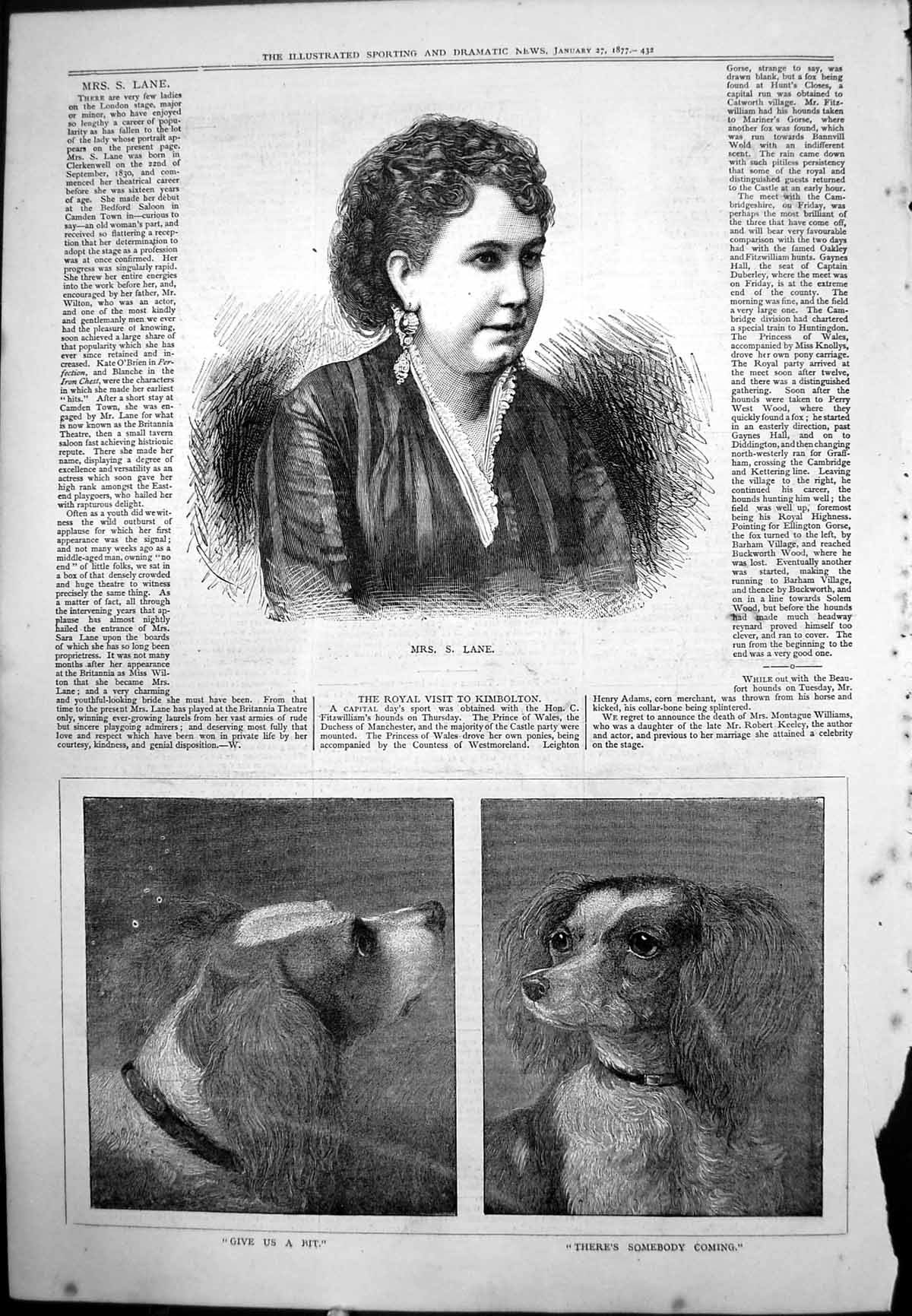 Old Mrs S Lane London Stage Earring Lace Edged Dress Portrait Dogs 1877 19th