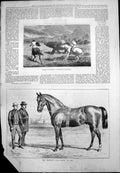 Old Huntsmen AttckHorned Rhinoceros Blankney Stud Horse St Liz 1877