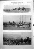 Old Print Brighton Cup Day Town Plate Race View Downs Horses Racing 1900 20th