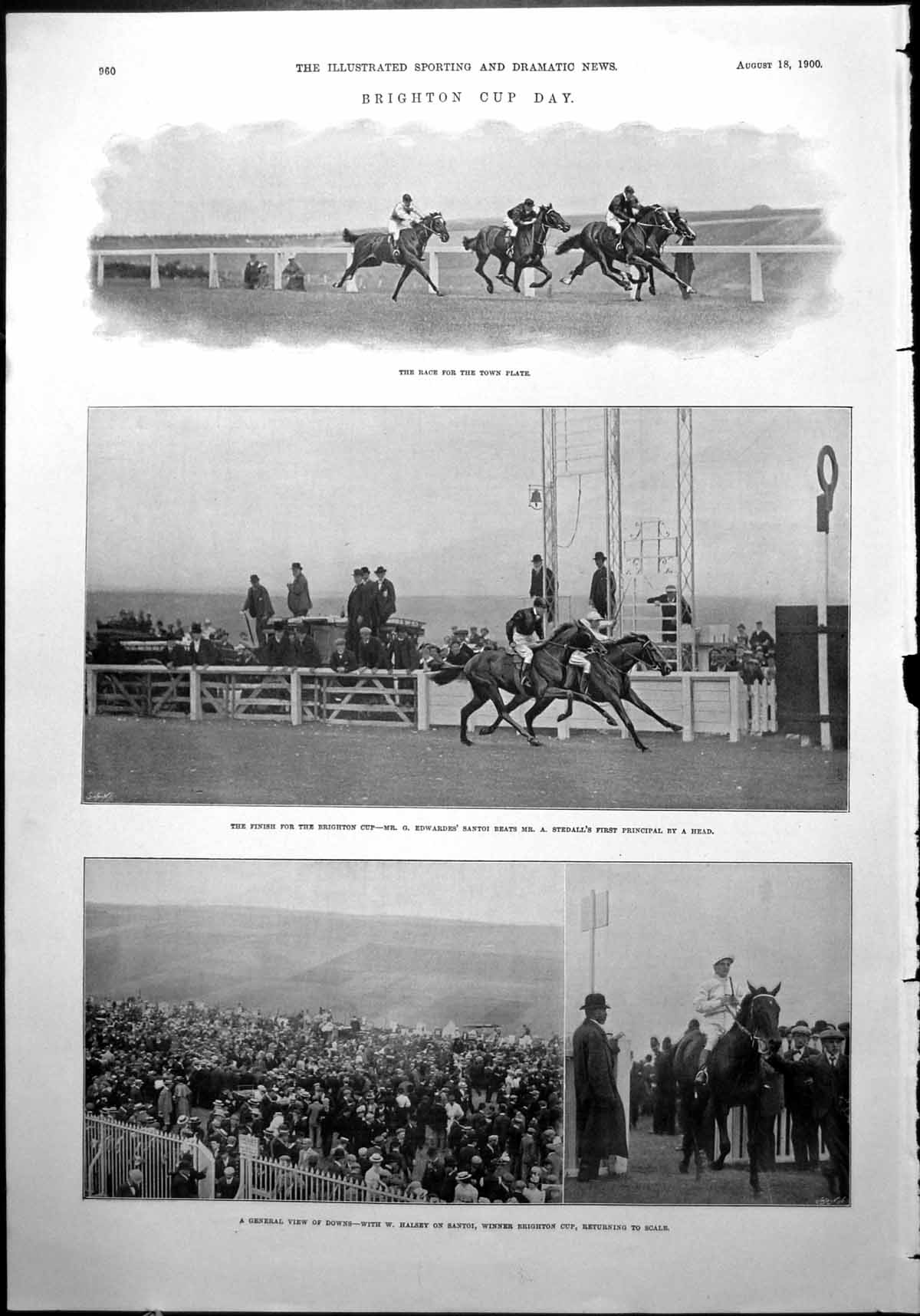 Old Print Brighton Cup Day Town Plate Race View Downs Horses Racing 1900 20th