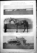 Print Newmarket 1St Spring Meeting Horse Racing Handicap Diamond Jubilee 1900