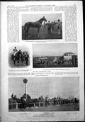 Old Print Sandown Park 2Nd Spring Meet Racing Horses Century Stakes 1900