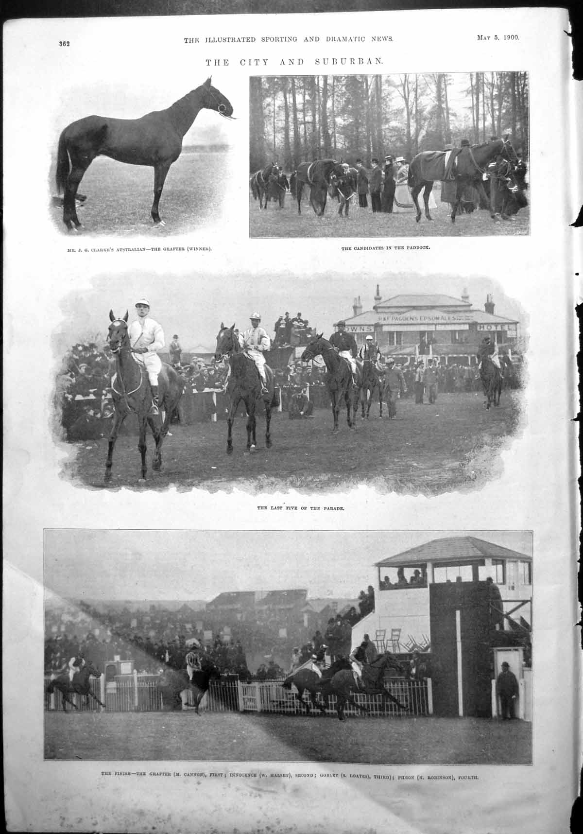 Old City Suburban Grafter Paddock Parade Finish Horses Racing Races 1900 20th