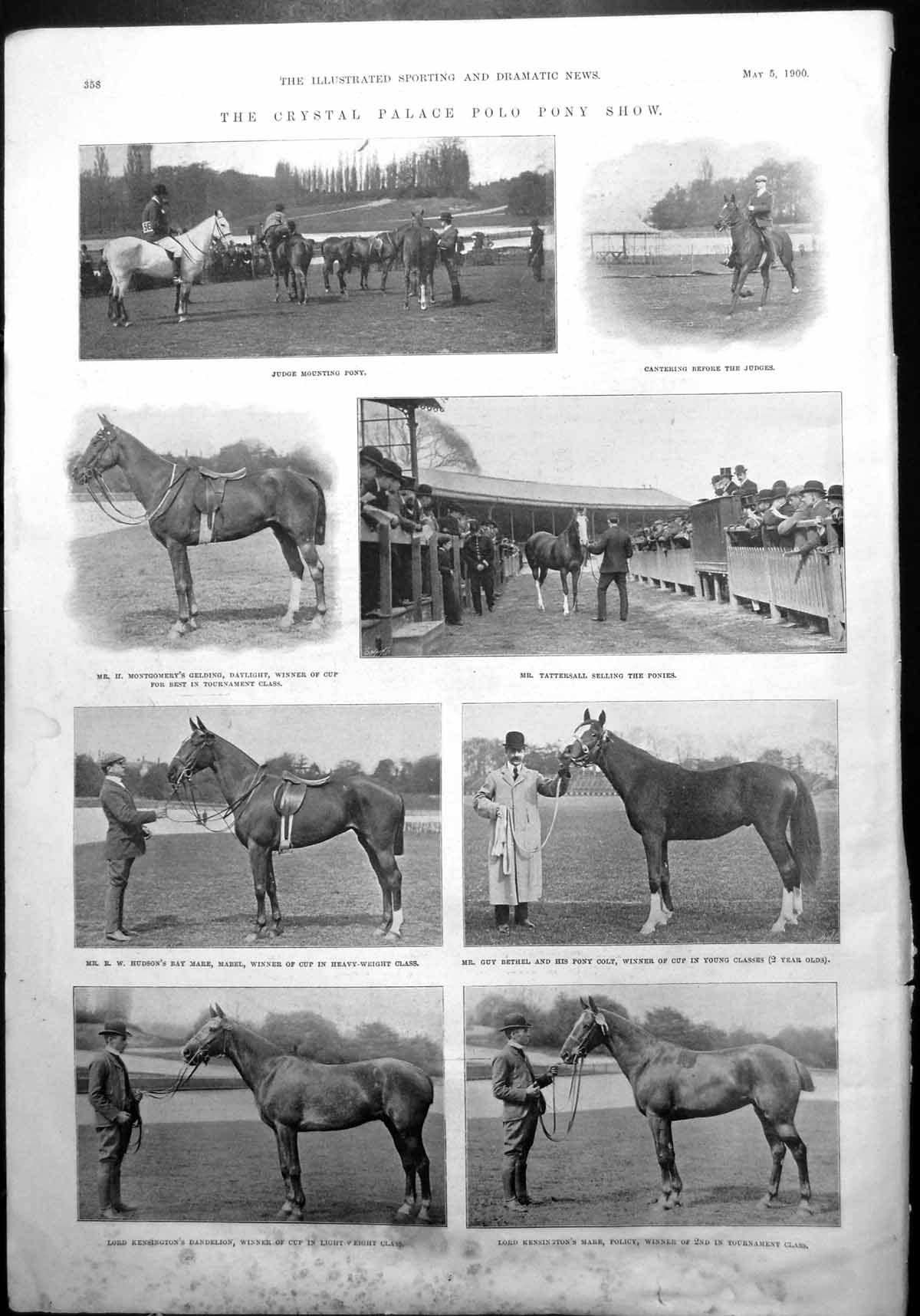 Old Crystal Palace Polo Pony Show Judges Selling Winners Mare Colt 1900 20th