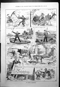 Print Pleasure Skecthing Wind Flies Boat Bog Bull Donkey Rustic Critics 1879