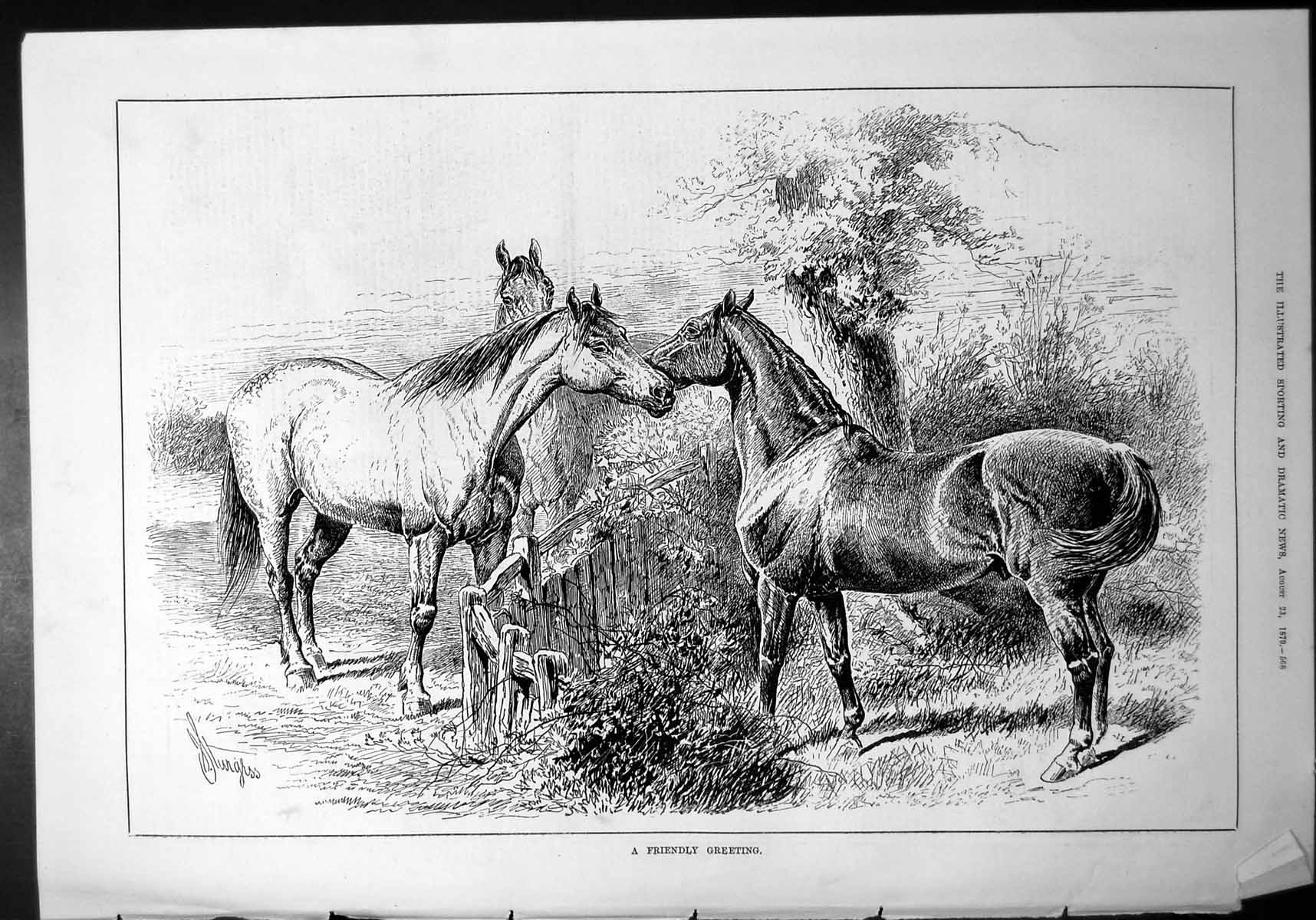 Old Friendly Greeting Horses Nuzzling Over Picket Fence Sturgiss 1879 Victorian