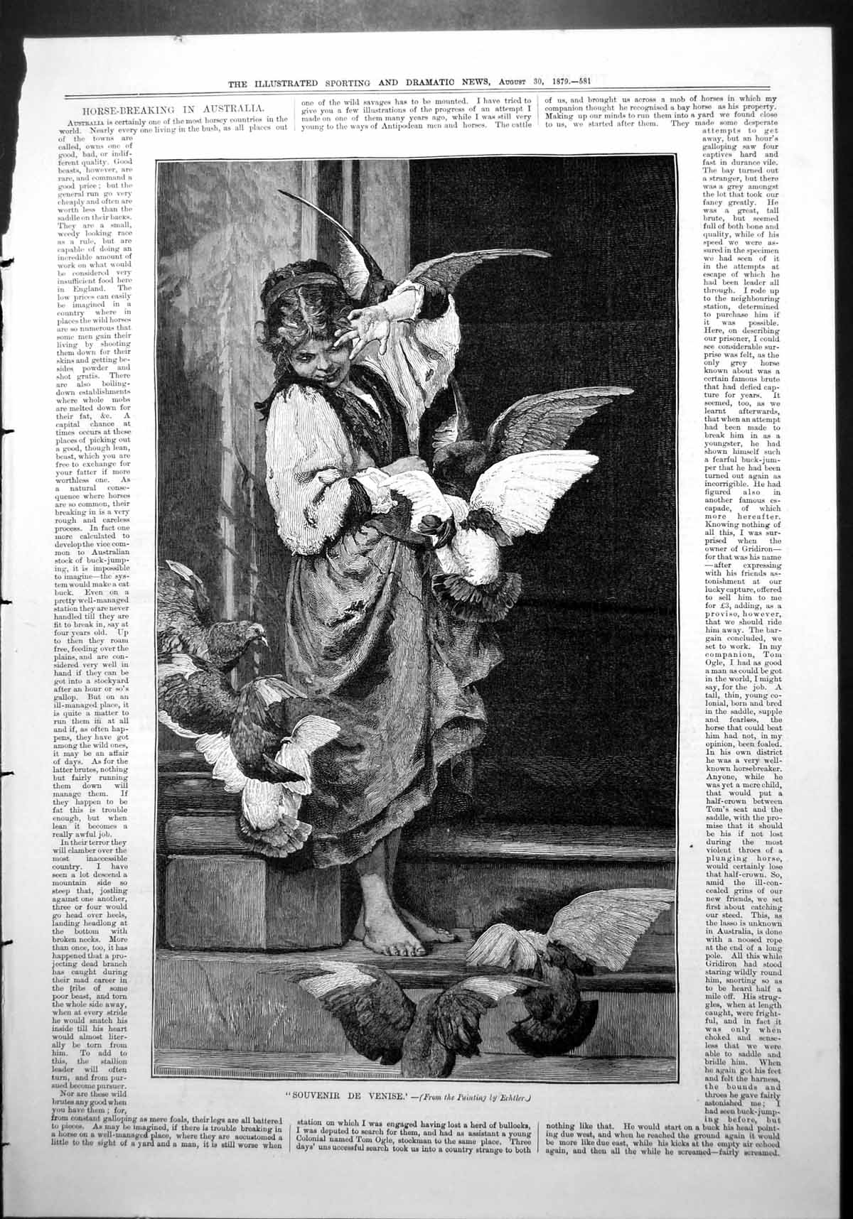 Old Souvenir De Venise Echtler Girl Steps Pigeons Flying Bare Feet 1879 19th