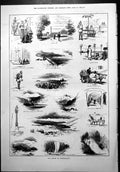 Old Print Artist Switzerland Paris Lake Geneva Lausanne Thoune Berne 1879 19th