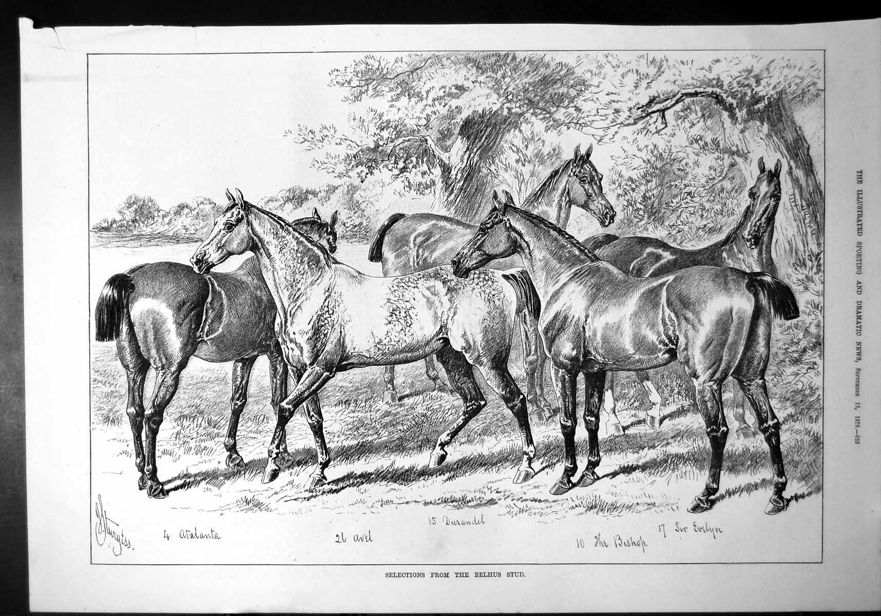 Old Belhus Stud Horses Atalanta Avel Durandel Bishop Sir Evelyn 1879 Victorian