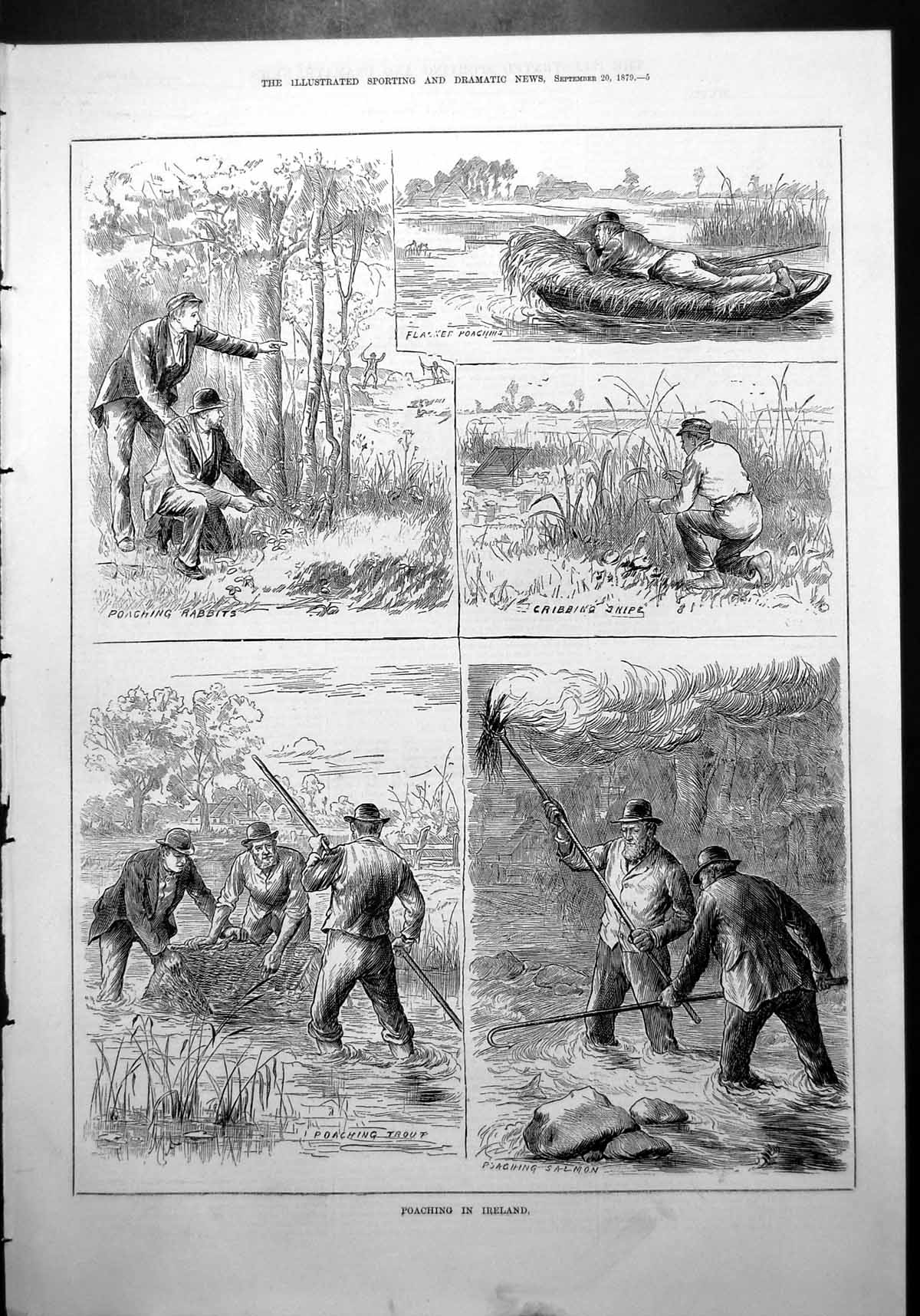 Old Poaching Ireland Rabbits Snipe Trout Salmon Flat Boat Reeds 1879 Victorian