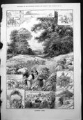 Old Harvesting Scenes Cutting Cumberland Last Sheaf Harvest Supper 1879 19th