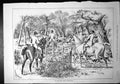 Old Print Still Leafy Woodlands Horses Hounds Hunting Party Sturgiss 1879 19th