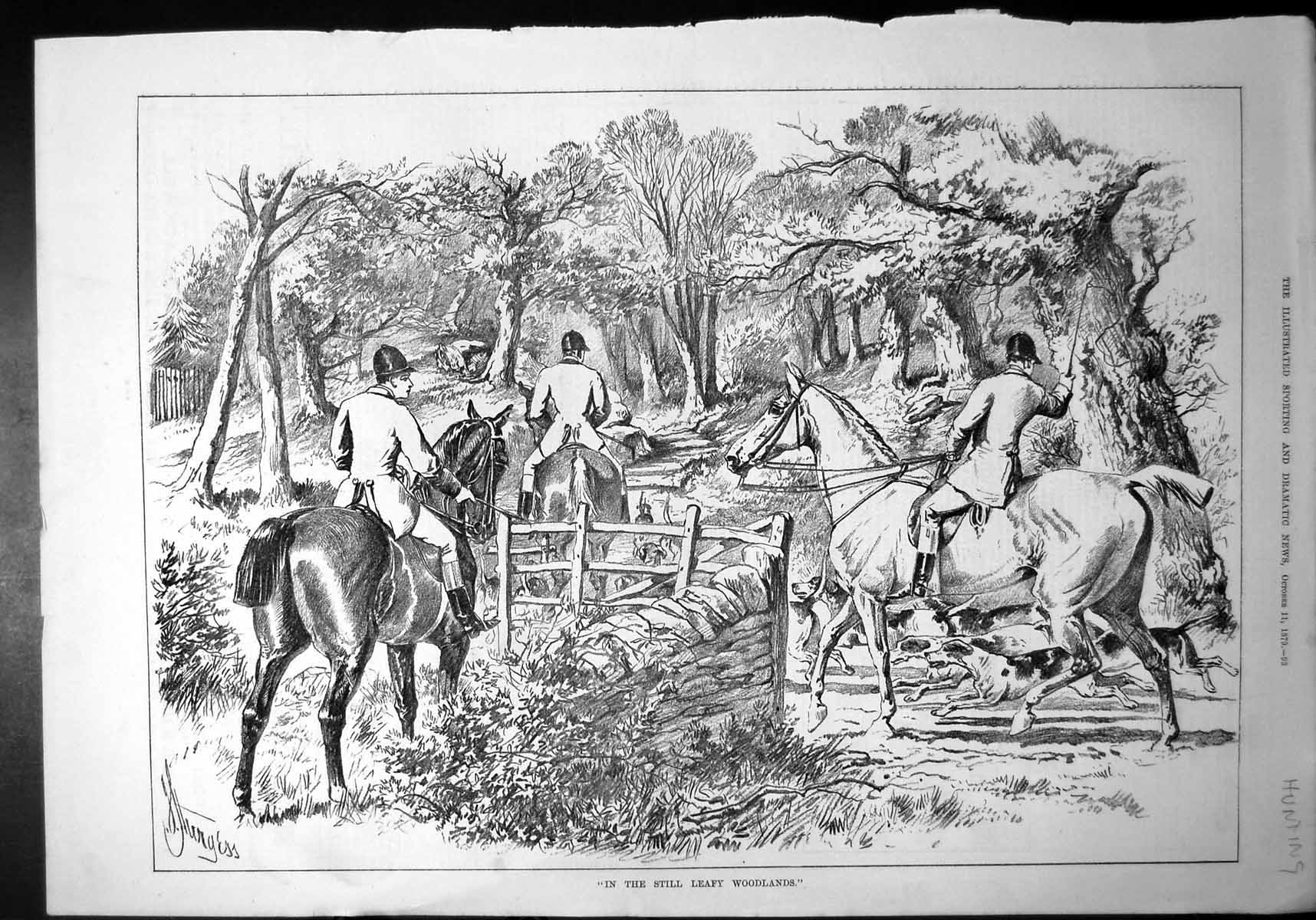 Old Print Still Leafy Woodlands Horses Hounds Hunting Party Sturgiss 1879 19th