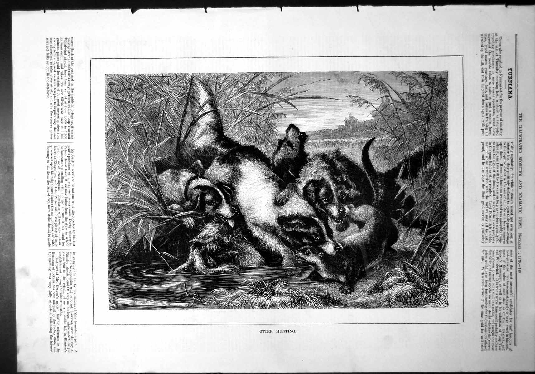Antique Old Print Otter Hunting Caught Neck Dogs Water Reeds Riverbank 1879